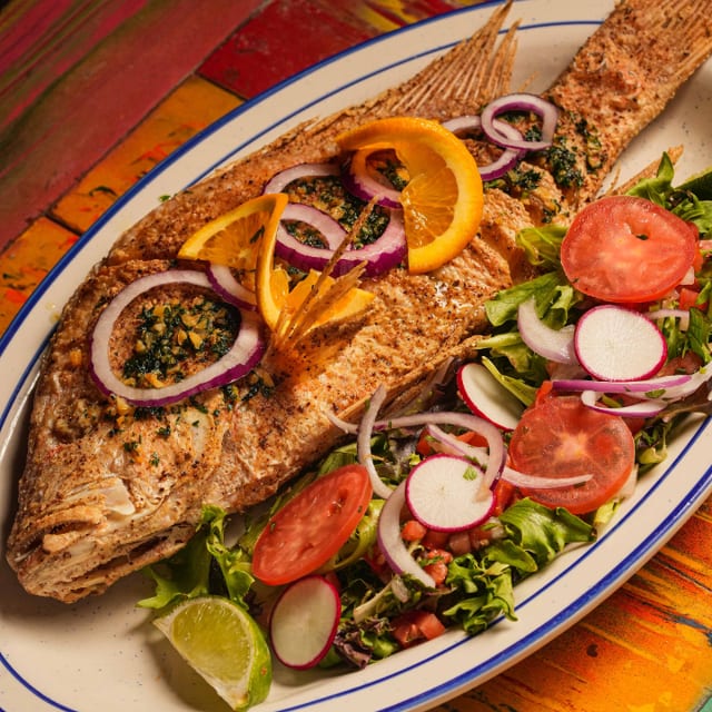 Red Snapper.
